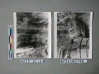 藏品(大同雲崗石窟)的圖片